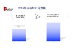 5年运动鞋市场全面分析202